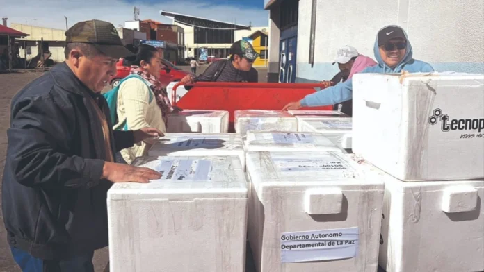 BAJA LA TENSIÓN EN LA PAZ, PERO PERSISTE LA ESCASEZ DE ALIMENTOS Y LA INCERTIDUMBRE 
