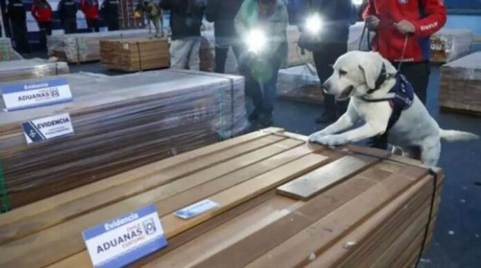  CHILE INCAUTA MÁS DE 100 TONELADAS DE DROGA OCULTAS EN MADERA PROVENIENTE DE BOLIVIA 