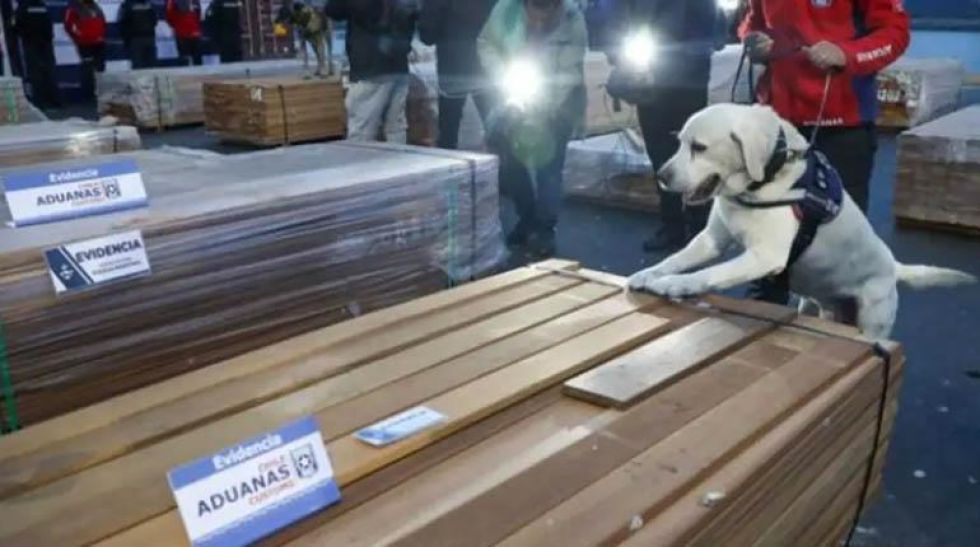  CHILE INCAUTA MÁS DE 100 TONELADAS DE DROGA OCULTAS EN MADERA PROVENIENTE DE BOLIVIA 