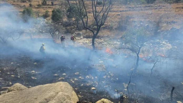 TARIJA DECLARA EMERGENCIA POR INCENDIOS