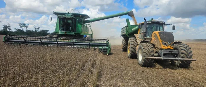 ESCASEZ DE DIÉSEL PONE EN RIESGO HASTA 800.000 TONELADAS DE SOYA