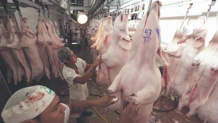 AGRO SE DECLARA EN EMERGENCIA Y ADVIERTE RIESGO PARA LA SEGURIDAD ALIMENTARIA