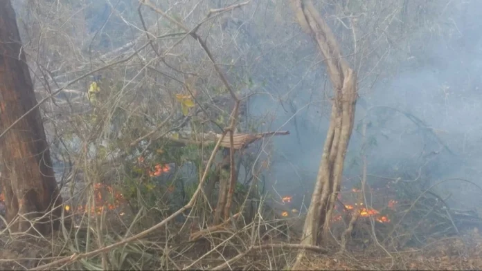 INCENDIO FORESTAL EN PEÑAS ALTAS ALERTA A COMUNARIOS DE SAN IGNACIO DE VELASCO