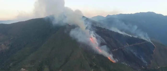 INCENDIO FORESTAL PONE EN ALERTA A COMUNARIOS DE YANACACHI EN LA PAZ