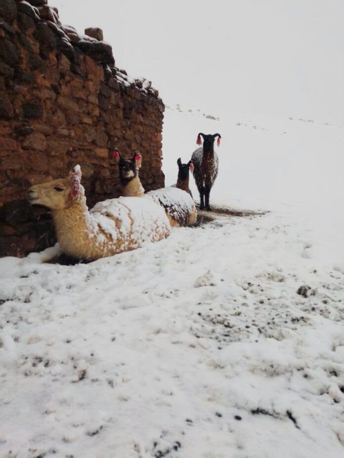 NEVADAS AFECTAN A SEIS DEPARTAMENTOS Y COMPLICAN LAS RUTAS