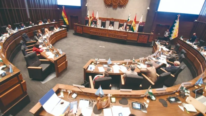  CRÉDITO DEL BID DESTINARÁ RECURSOS PARA CUBRIR 10,5 MESES DE RENTA DIGNIDAD 