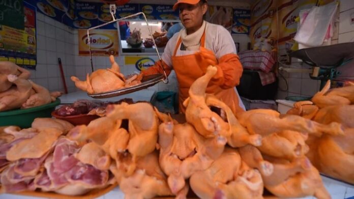 VENTA DE CARNE DE POLLO