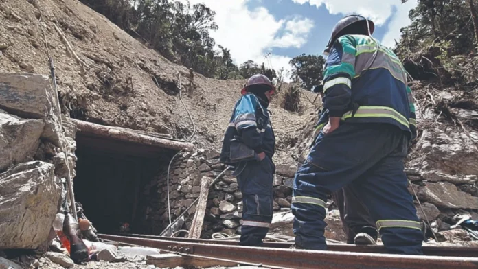 MINERÍA AURÍFERA EN NOR YUNGAS GENERA ALERTA POR DESMONTES Y POSIBLE CONTAMINACIÓN DEL AGUA 